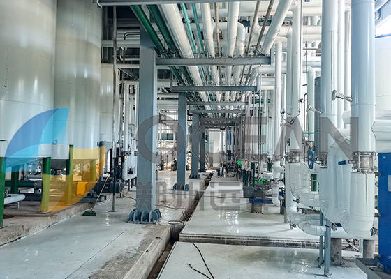 Semillas oleaginosas de mezcla patentadas de la planta de refinería del aceite de mesa de la tecnología