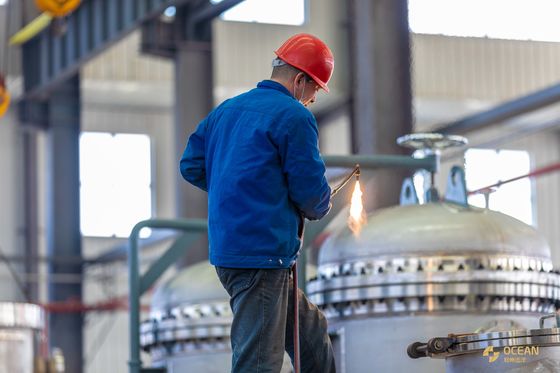 La planta ISO9001 de la refinería de petróleo de mostaza del taller 20TPD extrajo