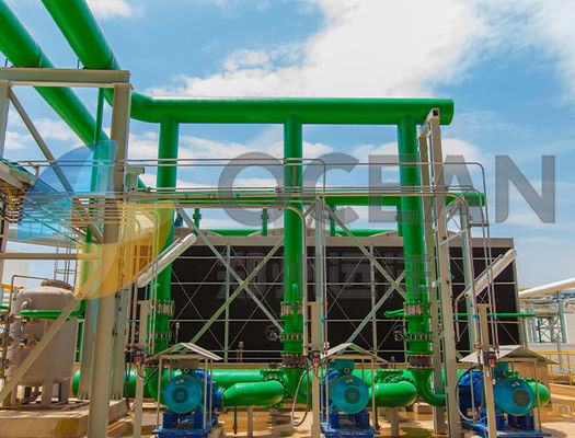 Ahorro de la energía del equipo de la extracción de aceite del girasol del aceite de rabina del ODM del OEM