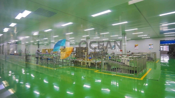 Aceite de mesa de la pequeña escala ZX130 que hace la cadena de producción de la extracción uso de la fábrica