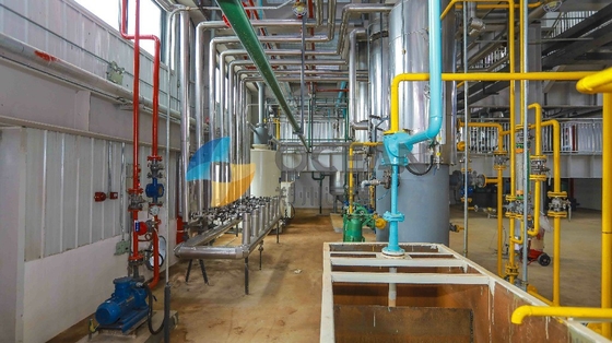 Aceite de mesa de la pequeña escala ZX130 que hace la cadena de producción de la extracción uso de la fábrica